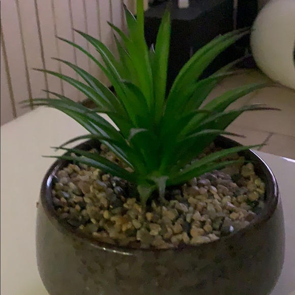 Meet your Posher, Marissa - Picture 1 of 1